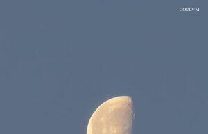 La Luna tra le Fronde del Mattino