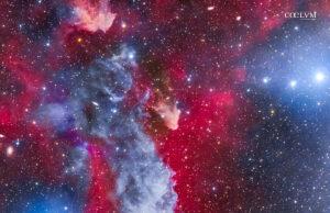 La Strega Cosmica | IC 2118