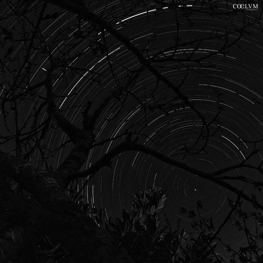 Rendere visibile l’invisibile: star trail tra i rami di ciliegio – Fucecchio (FI) 30 Agosto 2026
