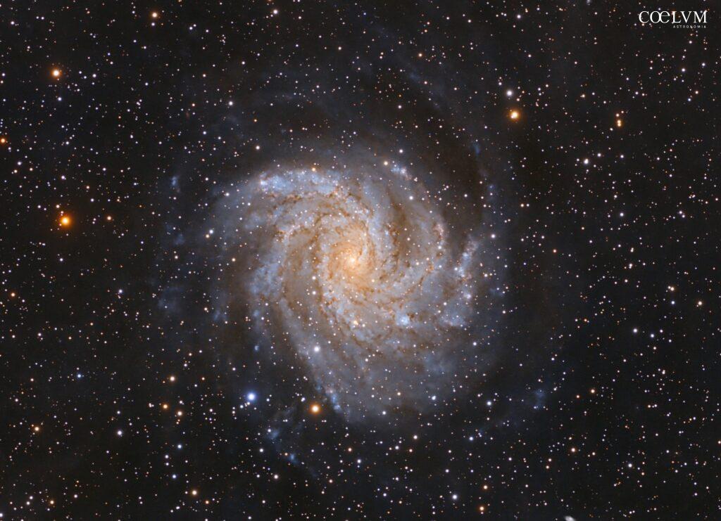 GALASSIA FUOCHI D’ARTIFICIO (NGC 6946)