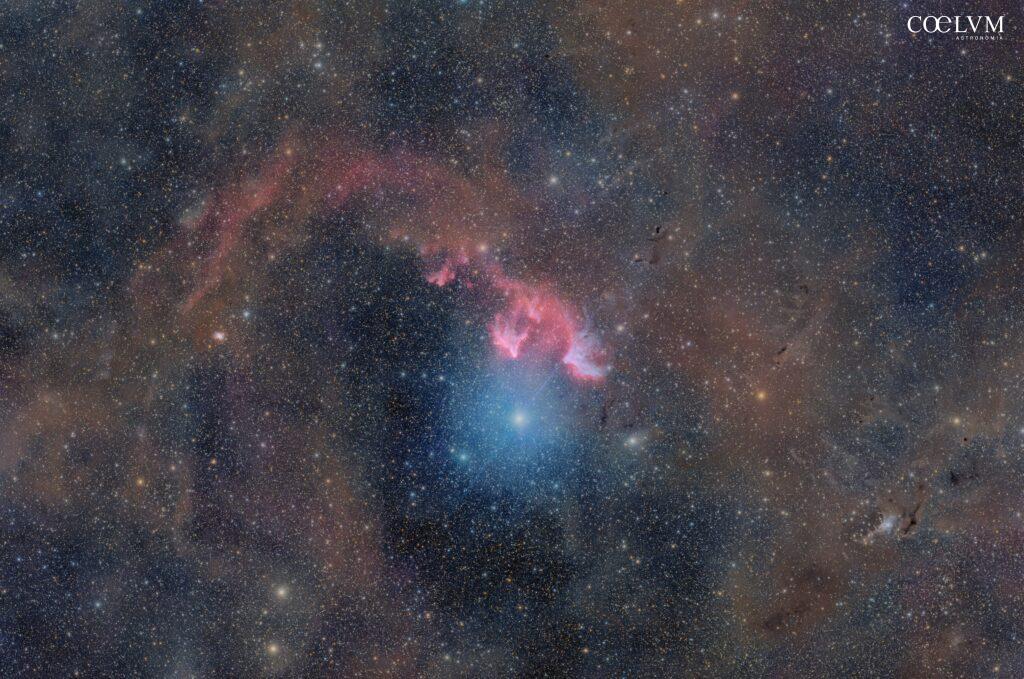 Gamma Cassiopeiae, IC59, IC63 e zone limitrofe