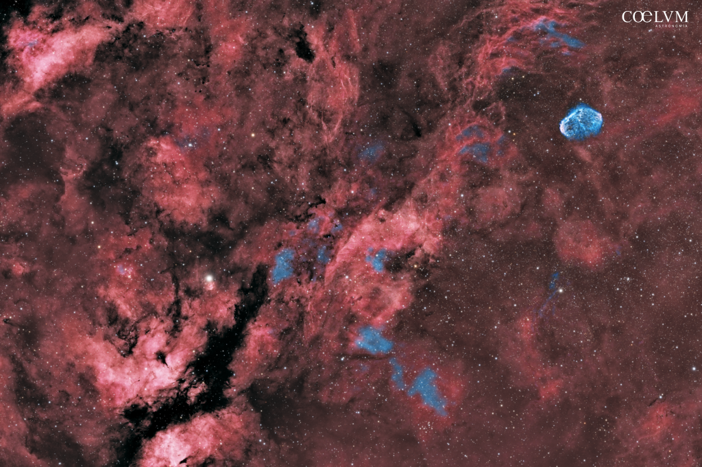 Wide field nel Cigno: da IC 1318 a NGC 6888