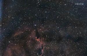 IC 1396 – Nebulosa Proboscide di Elefante
