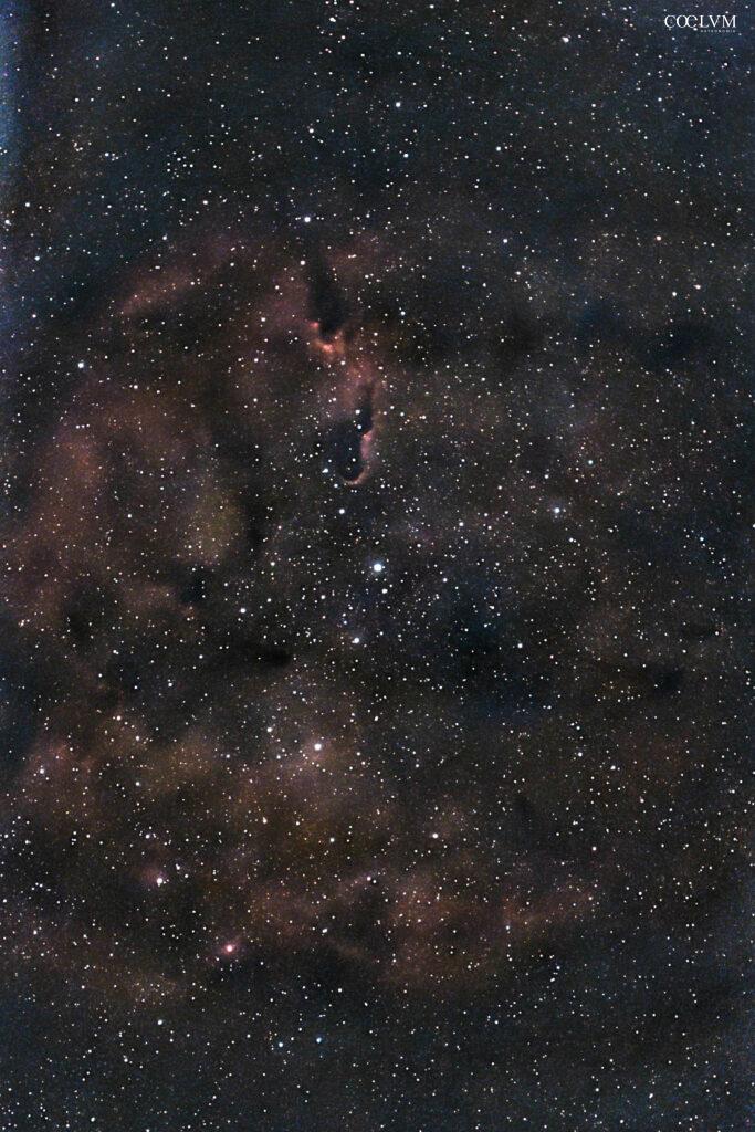 IC 1396 – Nebulosa Proboscide di Elefante