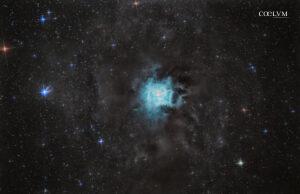Nebulosa Iris Ngc7023
