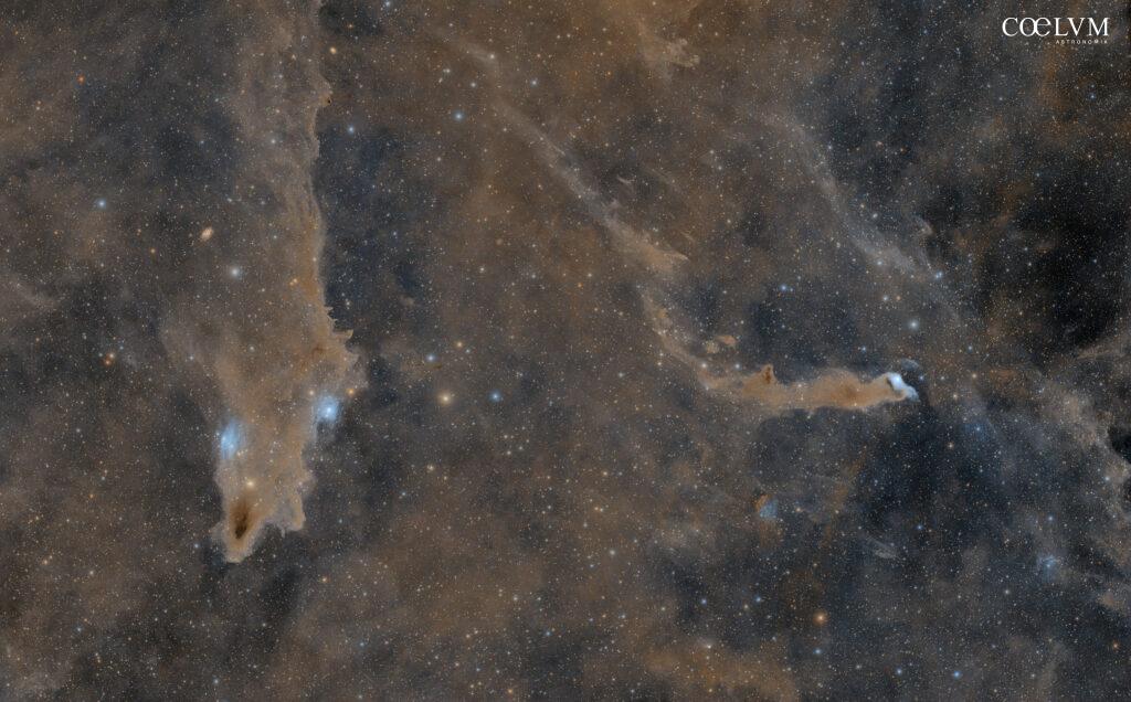 LDN1235 Nebulosa Squalo, LBN531 Wolf’s Cave Nebula, VDB152