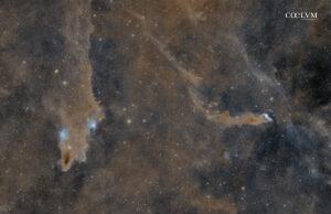 LDN1235 Nebulosa Squalo, LBN531 Wolf’s Cave Nebula, VDB152