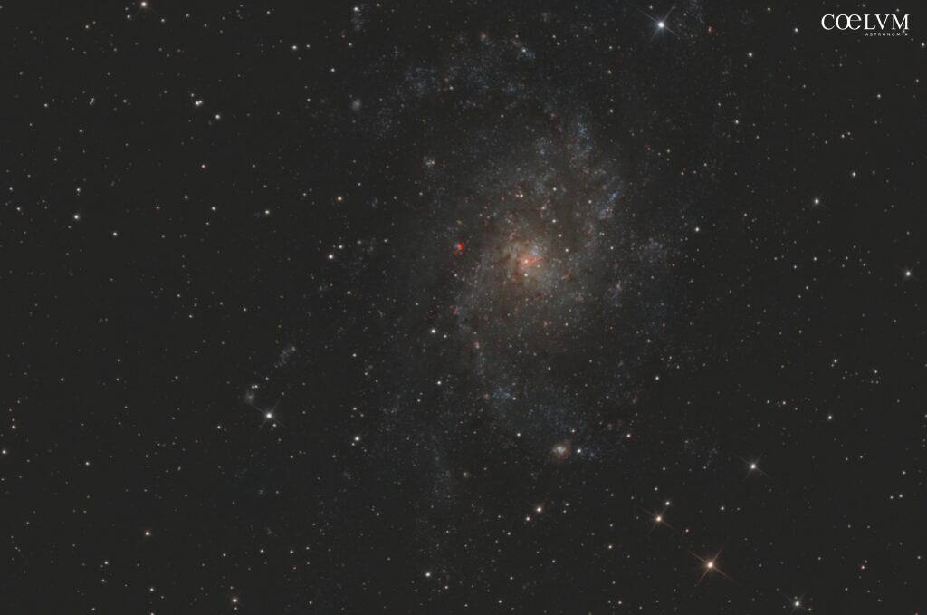 M33