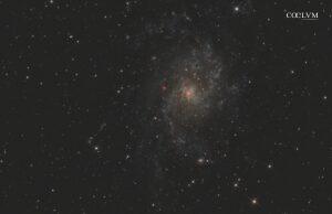 M33