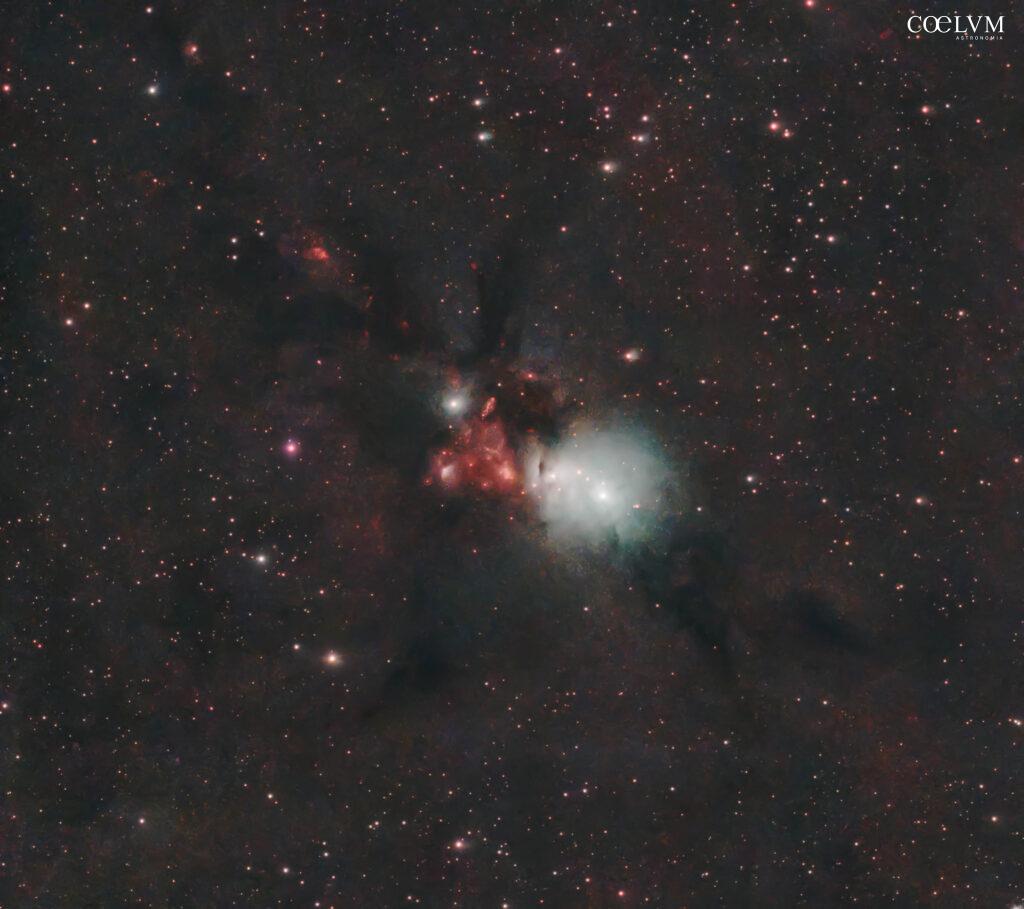 NGC 1333 non è solo una nebulosa, è una storia