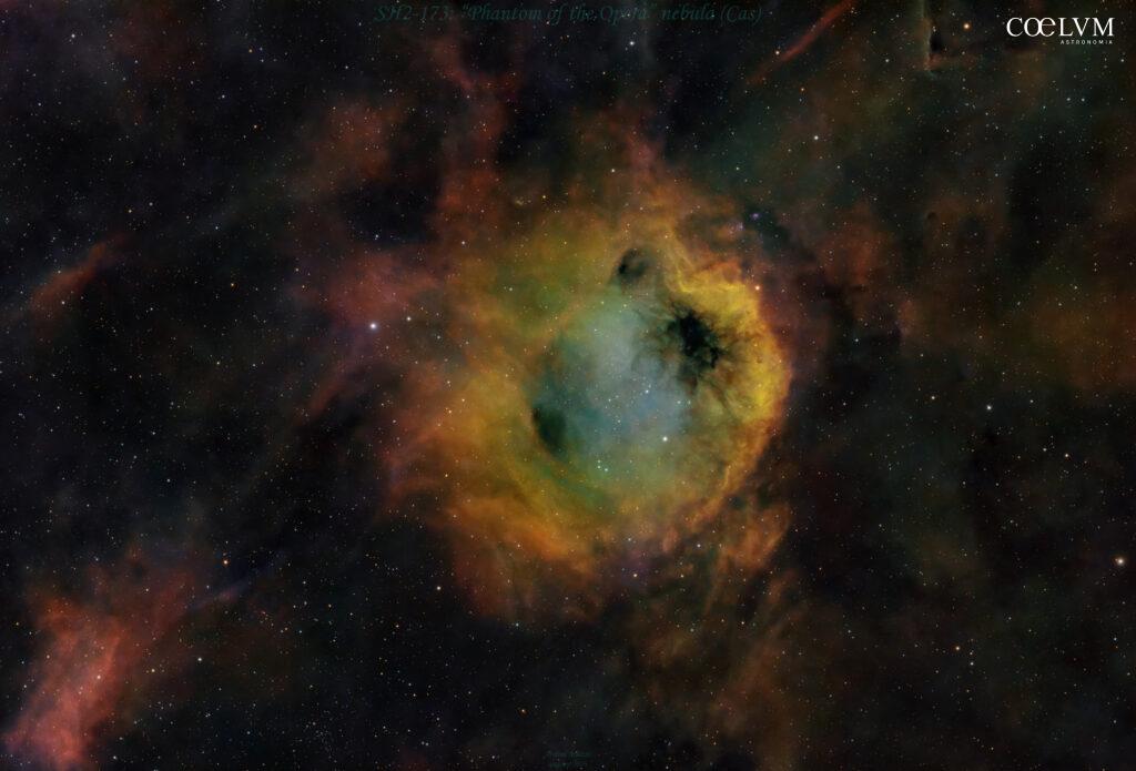 Sh2-173: il “Fantasma dell’Opera”
