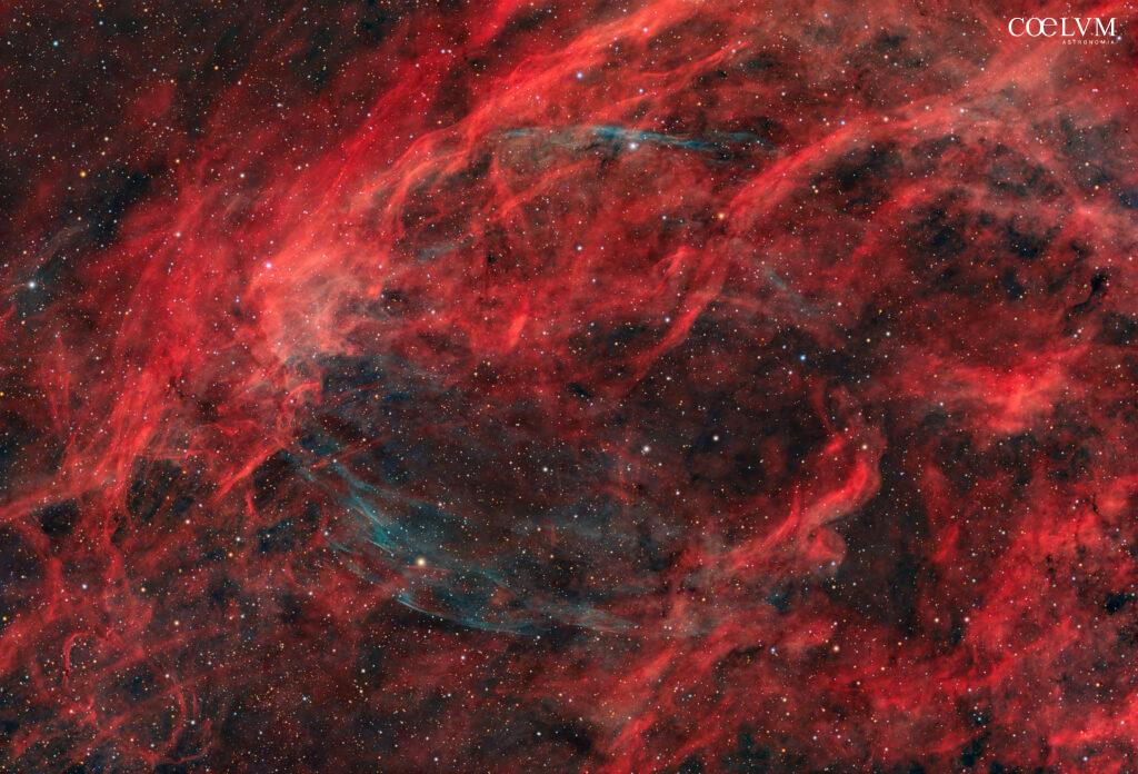W63: L’eredità silenziosa di una stella
