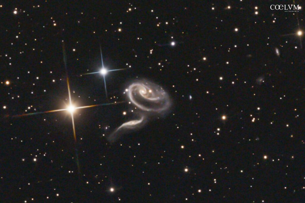 ARP 273 la Rosa