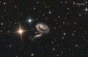 ARP 273 la Rosa
