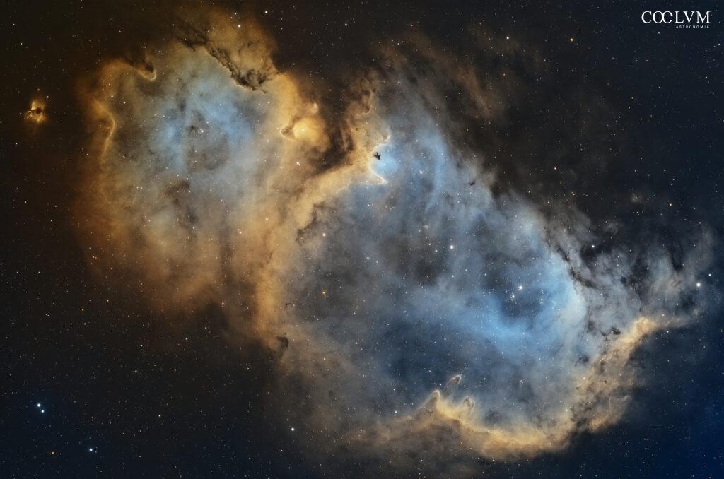 Anima IC1848