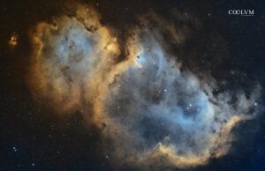 Anima IC1848