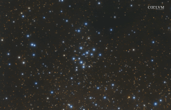 MESSIER 29 M29 – Ammasso Aperto