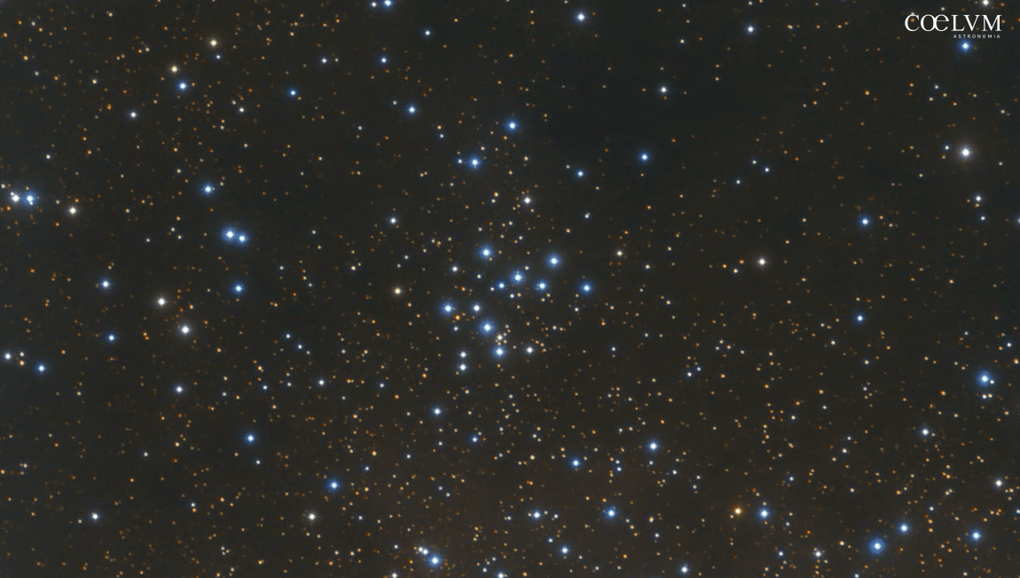 MESSIER 29 M29 – Ammasso Aperto