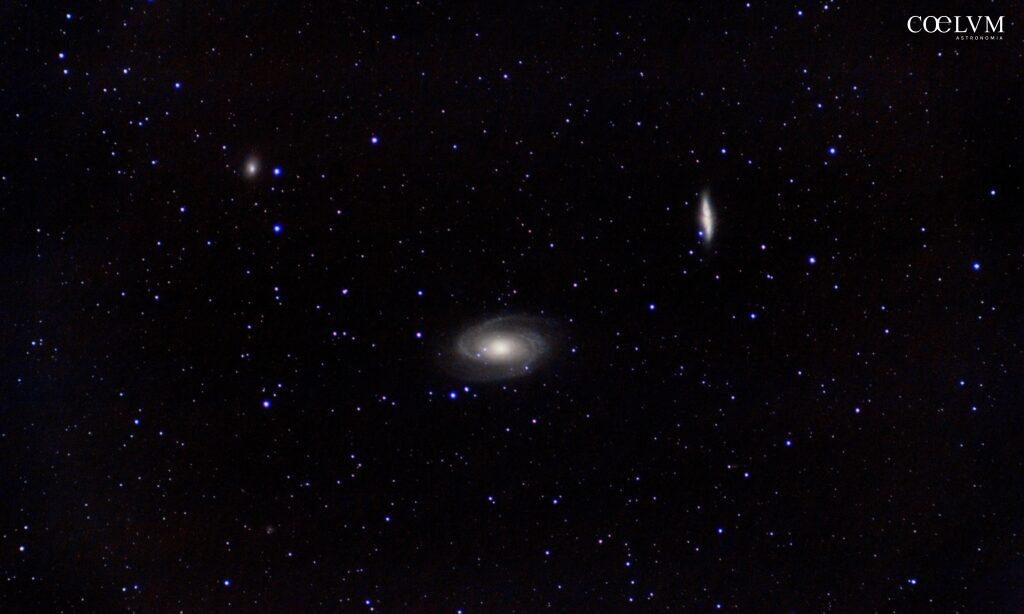 Bode’s galaxy and its group