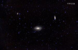 Bode’s galaxy and its group