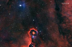 Nebulosa proposcide d’Elefante
