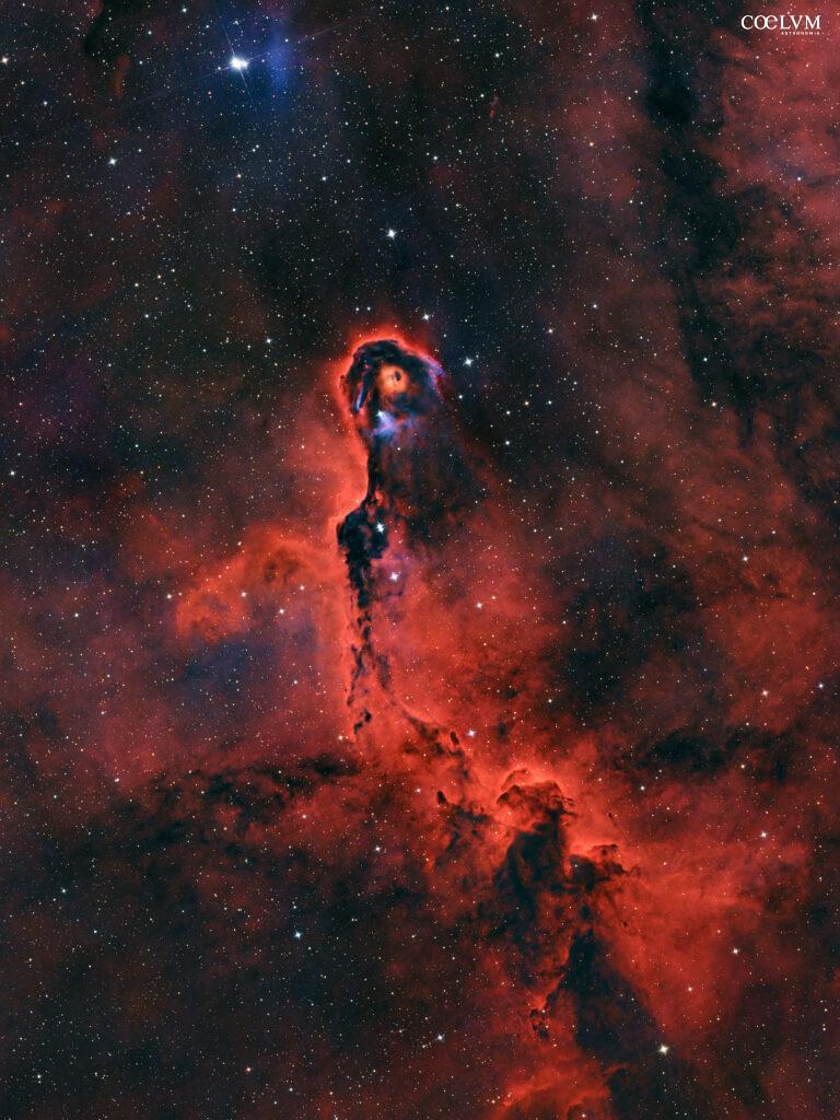 Nebulosa proposcide d’Elefante