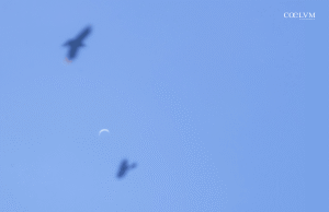 Congiunzione inferiore di Venere – 24 ottobre 2026