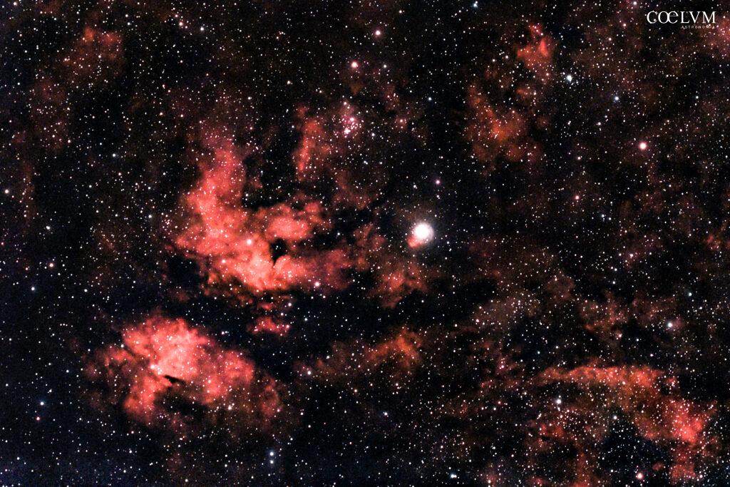 IC 1318 – Nebulosa di Gamma Cygni o Nebulosa Farfalla