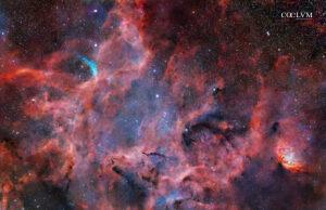 Nebulosa LBN 182 e Wolf-Rayet 134