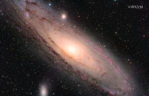 M31