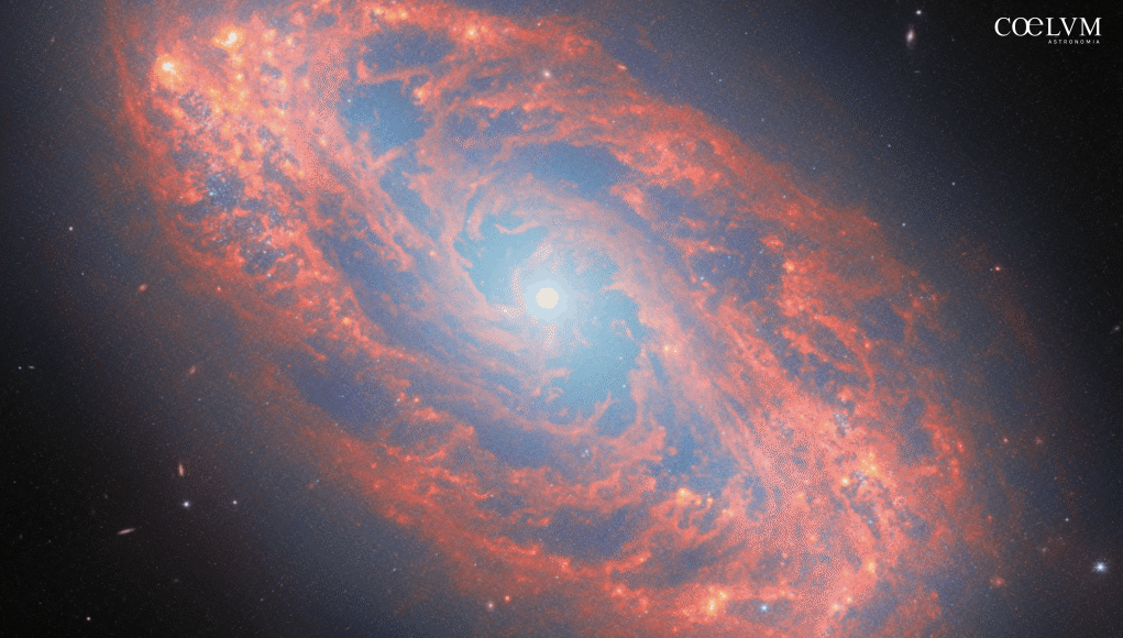 NGC5134_cover