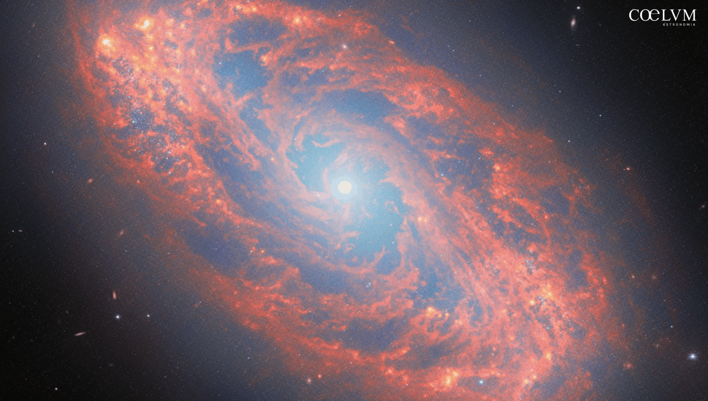 Il ciclo di vita delle stelle rivelato da una spirale