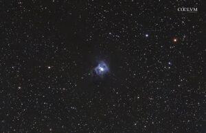 NGC 7023 – Nebulosa Iris