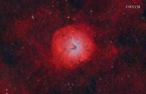 SH2-170 La Nebulosa Piccola Rosetta