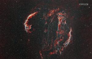 Cygnus loop