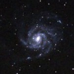 Foto del profilo di Massimo Conti