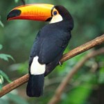 Foto del profilo di Roberto Calza