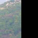 Foto del profilo di esposito pascal