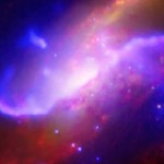 Foto del profilo di ferdinando cozzolino