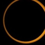 Foto del profilo di eliseo scarato