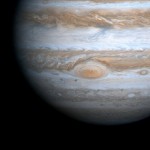 Foto del profilo di Andrea Rinaldi