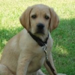 Foto del profilo di Paolo Massimo Policante