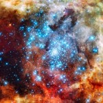 Foto del profilo di Damiano Belmonte