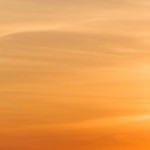 Foto del profilo di bian307