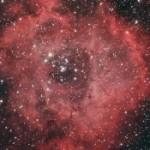 Foto del profilo di nazareno bellucci