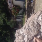 Foto del profilo di Rino Loi