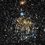 Foto del profilo di gaia talone