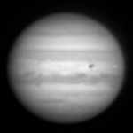 Foto del profilo di Martino Balbo