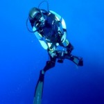 Foto del profilo di Alberto Pallavicini