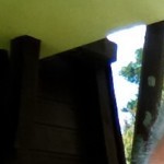 Foto del profilo di Pierluigi Corno